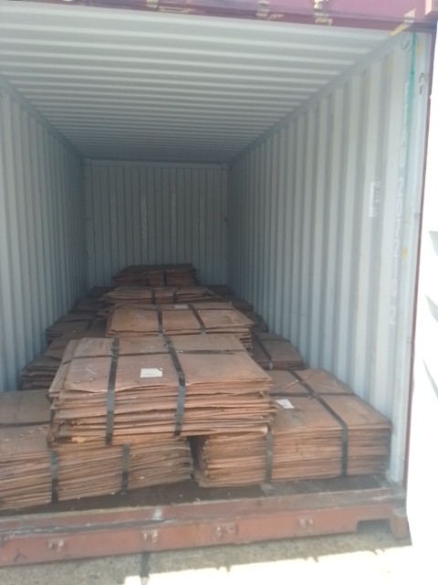 whatsapp image 2026 04 07 at 22.01.44 (1)